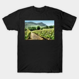 Vineyards T-Shirt